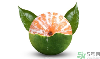 孕婦可以吃青桔子嗎？青桔子孕婦可以吃嗎？