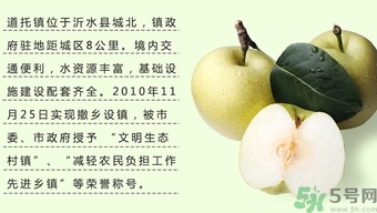 牛心果怎么吃？牛心果的功效和作用