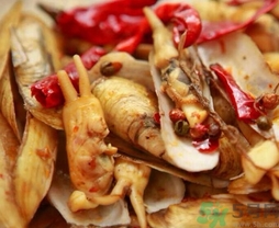 活蟶子怎么保存？蟶子可以放幾天？