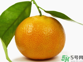 桔子怎么保鮮？桔子可以放冰箱保鮮嗎？