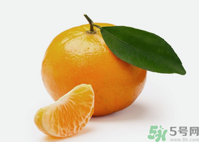 桔子怎么保存？青桔子怎么保存？