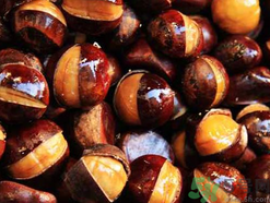 吃炒板栗會胖嗎？吃糖炒栗子會胖嗎？