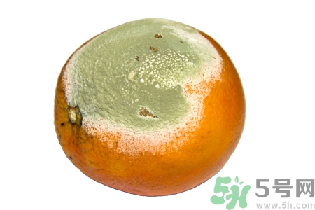 水果發(fā)霉了可以吃嗎？發(fā)霉的水果對人體有什么危害？