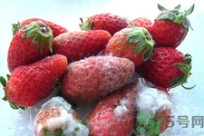 水果發(fā)霉了可以吃嗎？發(fā)霉的水果對人體有什么危害？