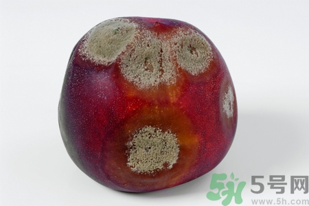 水果發(fā)霉了可以吃嗎？發(fā)霉的水果對人體有什么危害？