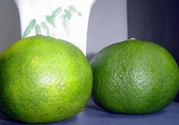 孕婦可以吃青桔子嗎？青桔子孕婦可以吃嗎？