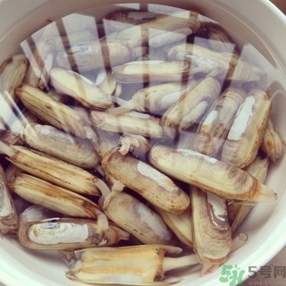 蟶子可以吃哪些部位？蟶子哪些部位不能吃？