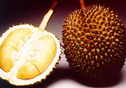 榴蓮肉怎么保存？榴蓮肉的保存方法