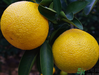 吃桔子有什么好處和壞處？桔子吃了有什么好處？