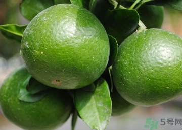 孕婦可以吃桔子嗎？孕婦能吃桔子嗎？