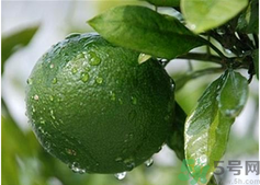 孕婦吃桔子好嗎？孕婦吃桔子有什么好處？