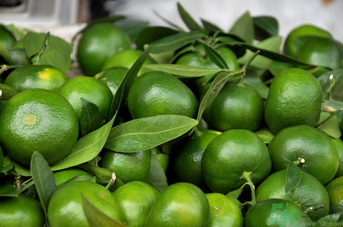 青桔子可以吃嗎？吃青桔子有好處嗎？