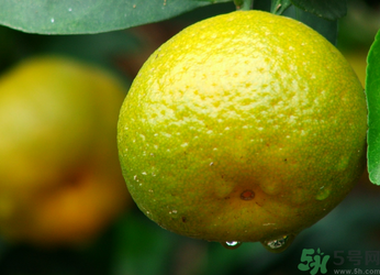 青桔子可以吃嗎？吃青桔子有好處嗎？