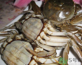 河蟹可以冷凍嗎？活河蟹可以冷凍保存嗎？