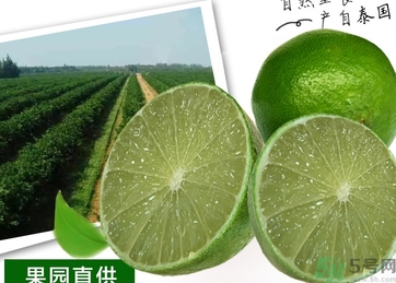 泰國(guó)檸檬怎么吃？泰國(guó)檸檬的功效作用