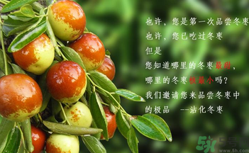 晚上吃棗子會(huì)胖嗎？晚上吃新鮮棗子會(huì)胖嗎？