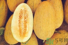 便秘可以吃哈密瓜嗎？哈密瓜可以治療便秘嗎？