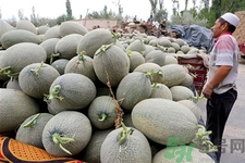 便秘可以吃哈密瓜嗎？哈密瓜可以治療便秘嗎？