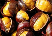 孕婦吃生板栗好還是熟的好？孕婦可以吃熟板栗嗎？