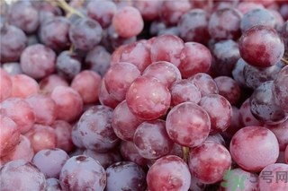 葡萄酒怎么做好喝？葡萄酒的功效與作用