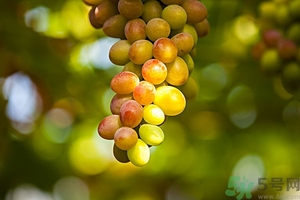 葡萄酒怎么做好喝？葡萄酒的功效與作用
