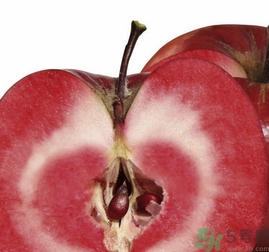 紅肉蘋果多少錢一斤？紅肉蘋果的功效作用