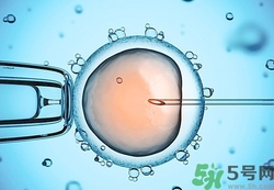 試管嬰兒要多少錢？做試管嬰兒痛苦嗎