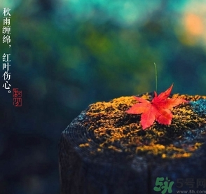 秋分做什么運(yùn)動(dòng)好？秋分運(yùn)動(dòng)注意事項(xiàng)