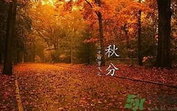 秋分做什么運(yùn)動(dòng)好？秋分運(yùn)動(dòng)注意事項(xiàng)