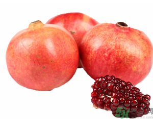 軟籽石榴多少錢一斤？軟籽石榴價(jià)格