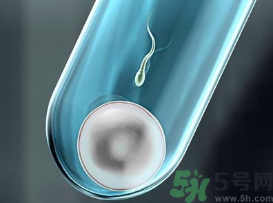 做試管嬰兒要多長(zhǎng)時(shí)間？做試管嬰兒可以選擇性別？