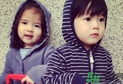 龍鳳胎是怎么形成的？試管嬰兒能做龍鳳胎嗎？