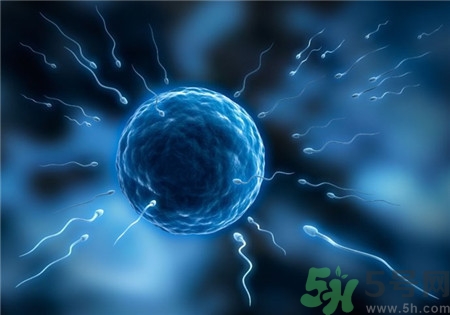 做試管嬰兒要多長(zhǎng)時(shí)間？做試管嬰兒可以選擇性別？