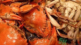 螃蟹剛死能吃嗎？剛死的螃蟹怎么保存