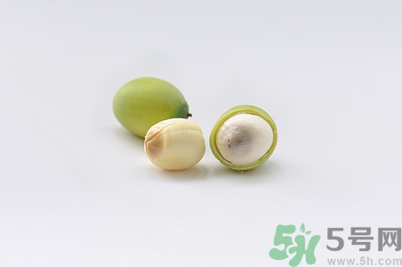 孕婦可以吃新鮮蓮子嗎?孕婦吃新鮮蓮子對胎兒好嗎 孕婦可以吃新鮮蓮子嗎?孕婦吃新鮮蓮子對胎兒好嗎