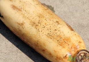 蓮藕怎么煮才粉?蓮藕怎么煮才脆? 蓮藕怎么煮才粉?蓮藕怎么煮才脆?