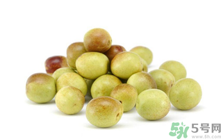 鮮棗可以冷凍保存嗎？鮮棗可以放冰箱嗎？