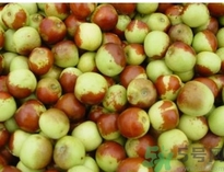 冬棗可以冷凍嗎？冬棗可以曬干保存嗎？