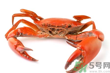 10月吃陽(yáng)澄湖大閘蟹好嗎？大閘蟹怎么做好吃？