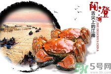 陽澄湖大閘蟹口感怎么樣？如何辨別真假陽澄湖大閘蟹？