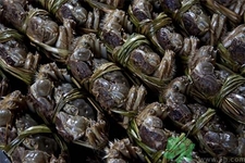 陽澄湖大閘蟹口感怎么樣？如何辨別真假陽澄湖大閘蟹？