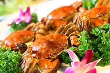 10月吃什么螃蟹好？10月螃蟹最美味