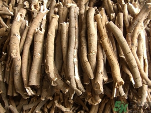 牡丹皮可以經(jīng)常吃嗎?牡丹皮的功效與作用 牡丹皮可以經(jīng)常吃嗎?牡丹皮的功效與作用