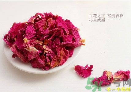 牡丹花可以泡水喝嗎?牡丹花泡水喝有啥好處 牡丹花可以泡水喝嗎?牡丹花泡水喝有啥好處