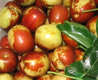 吃鮮棗的好處和壞處？吃鮮棗有什么好處？