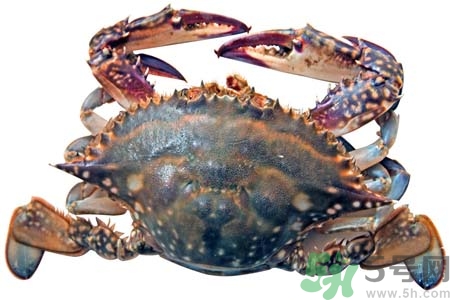 吃螃蟹后眼睛發(fā)暈怎么回事？吃螃蟹眼睛發(fā)暈怎么辦？