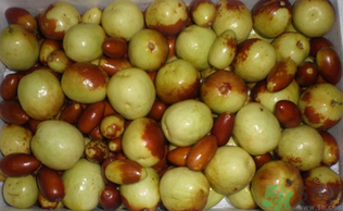 吃青棗子會胖嗎？青棗子吃多了會胖嗎？