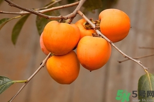 柿子和螃蟹一起吃有毒嗎？柿子不能和什么同食？