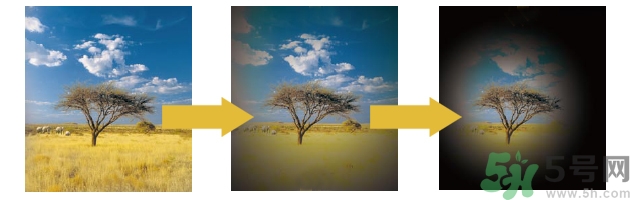 青光眼可以治愈嗎？青光眼怎樣治療？