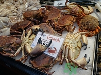 螃蟹是苦是什么原因?螃蟹苦可以吃嗎 螃蟹是苦是什么原因?螃蟹苦可以吃嗎